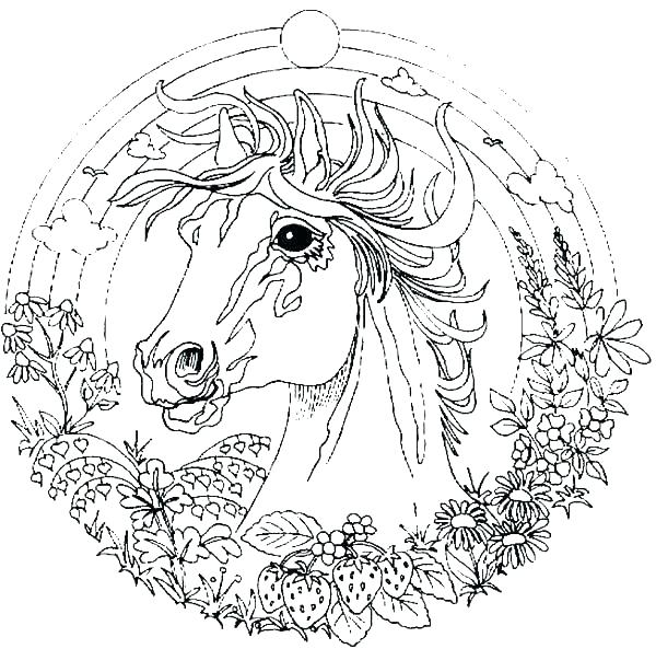 600x593 Animal Mandala Coloring Pages For Adults Cool Animal Coloring