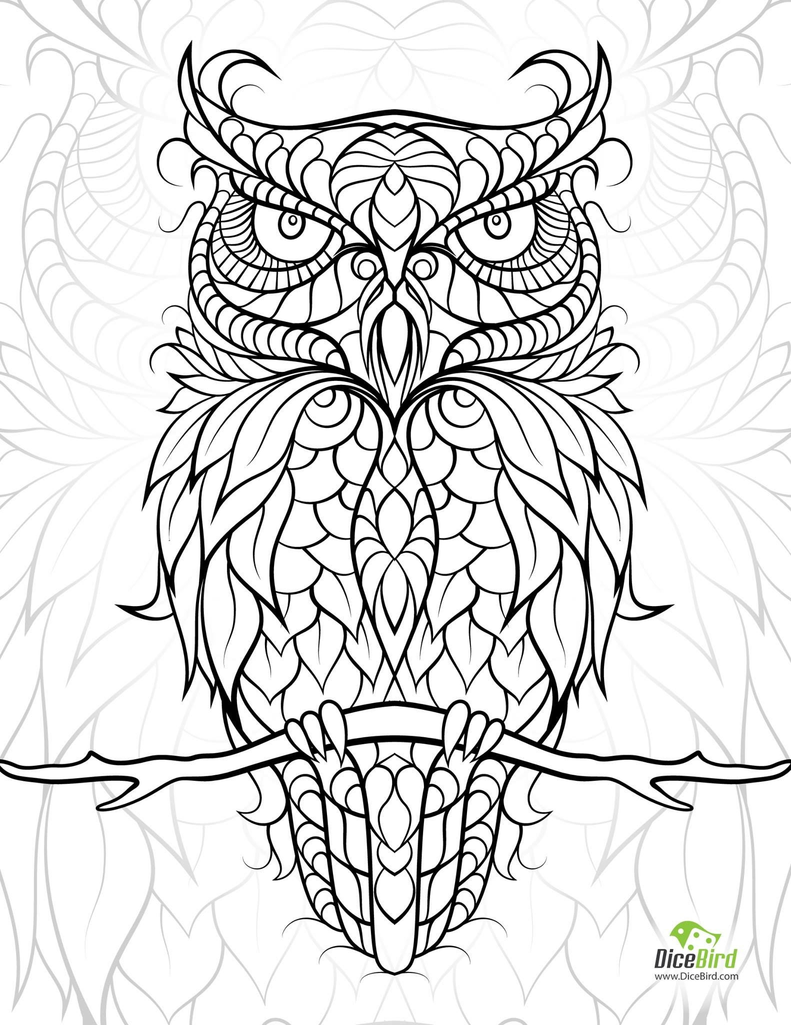 1582x2048 New Owl Colouring Page Free Coloring Pages Download
