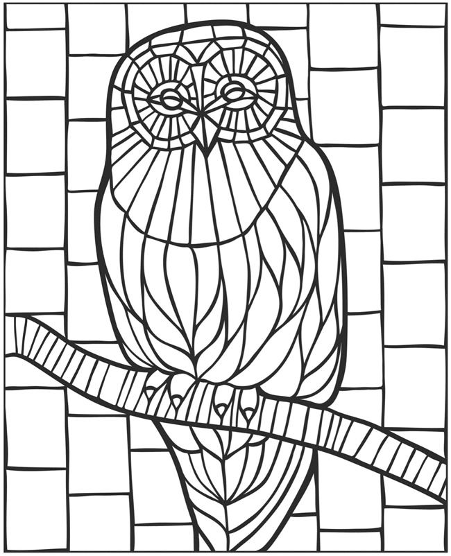 650x802 Welcome To Dover Publications Eclectic Wildlife