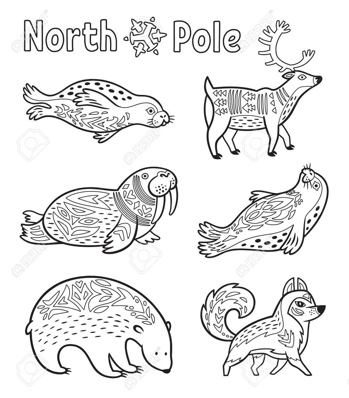 1139x1300 Security Arctic Animal Coloring Pages Outline Animals Set For Page