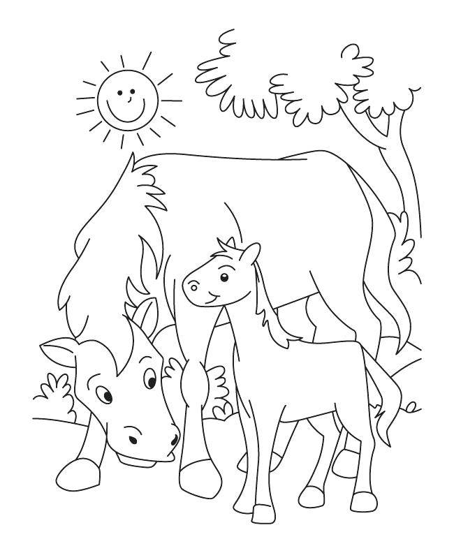 650x792 Animal Outline Coloring Pages Coloring Pages Collection