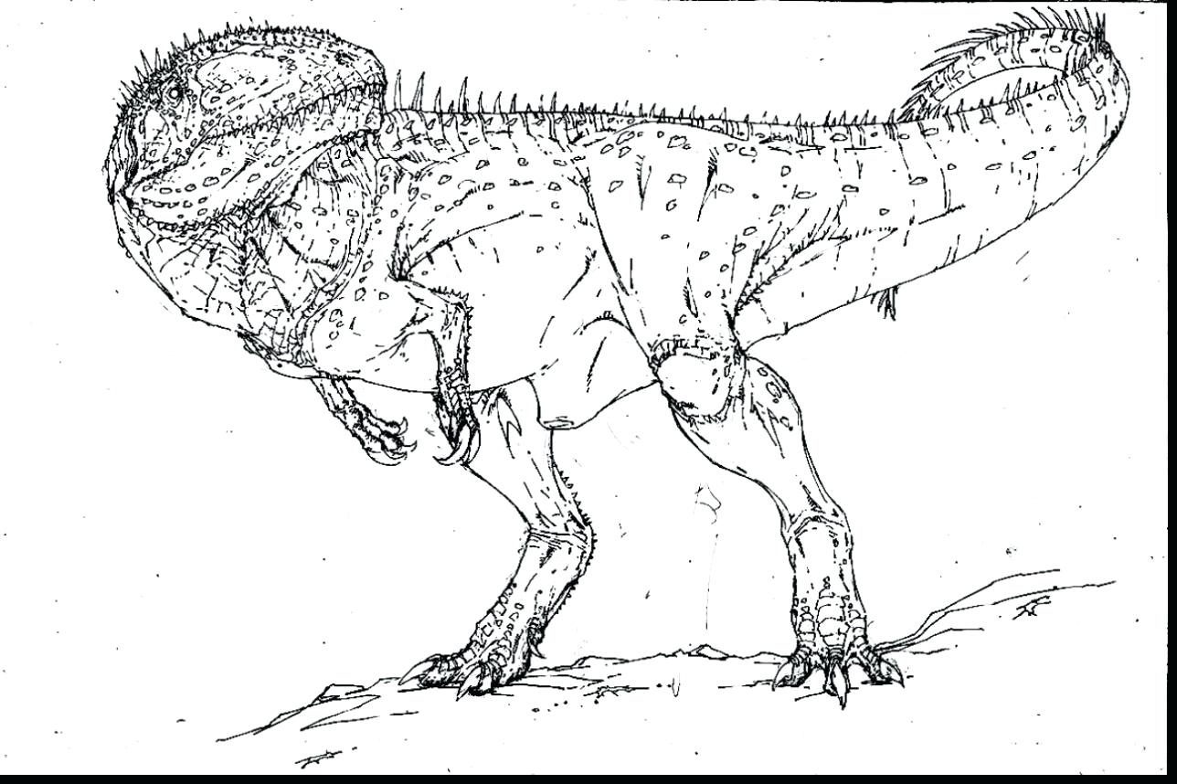 1288x858 Challenge T Rex Skeleton Coloring Page Sure Fire Dinosaur Pages