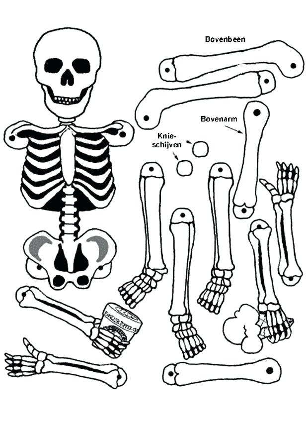618x874 Cut Out Coloring Pages Free Skeleton Templates Skeleton Coloring