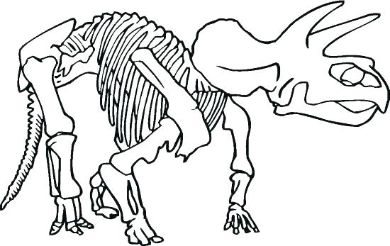 550x347 Dinosaur Skeleton Coloring Page