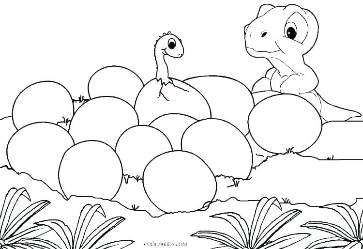 750x514 Animal Skeleton Coloring Pages