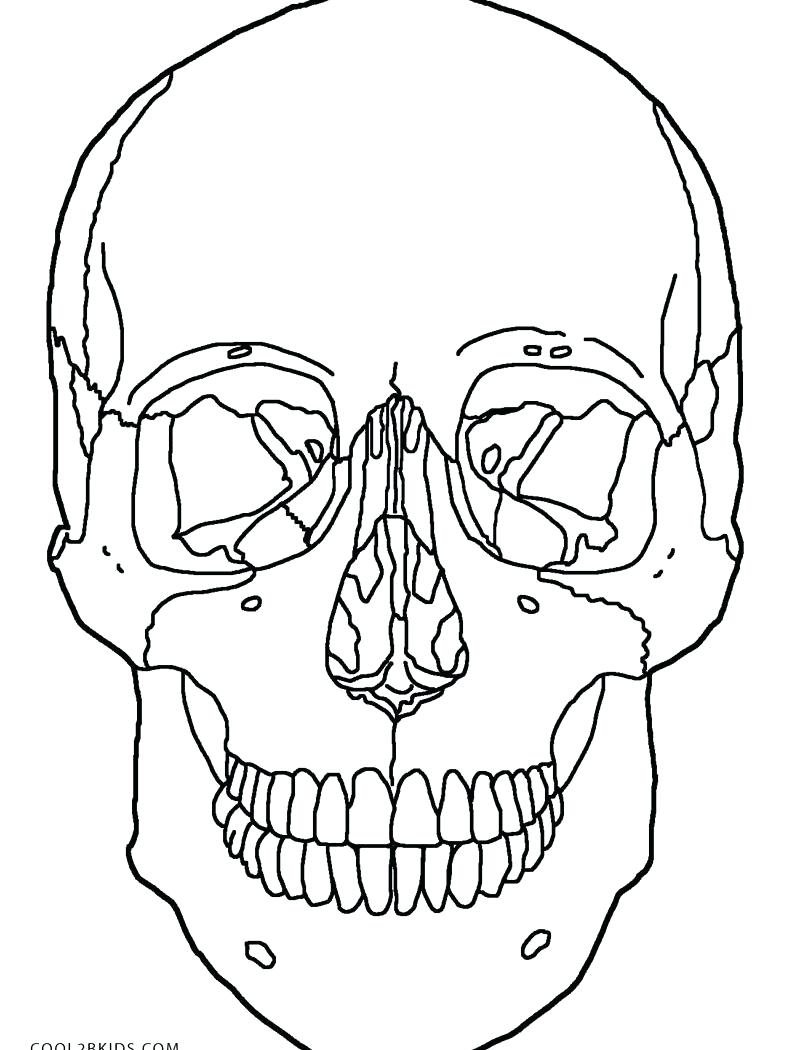 800x1050 Coloring Pages Anatomy Coloring Pages Skeleton Skull For Kids