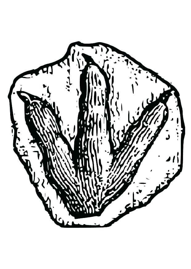 620x875 Footprint Coloring Page Foot Coloring Page Foot Coloring Page