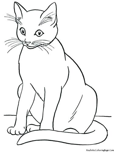 375x500 Coloring Page Of A Cat Medium Size Of Cats Coloring Pages Cute