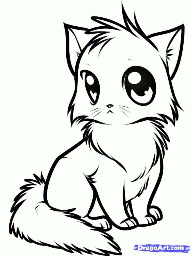 Anime Cats Coloring Pages at GetDrawings | Free download