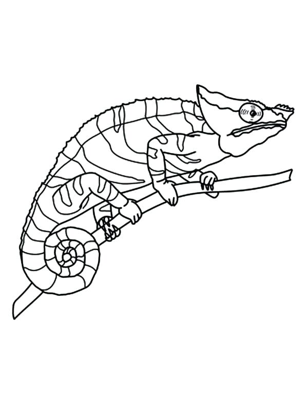 600x775 Eyes Coloring Pages Chameleon Amazing Eyes Coloring Pages Anime