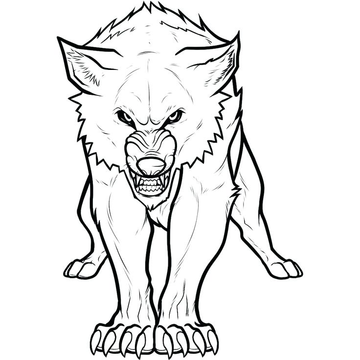 736x736 Wolf Coloring Anime Wolf Girl Coloring Pages