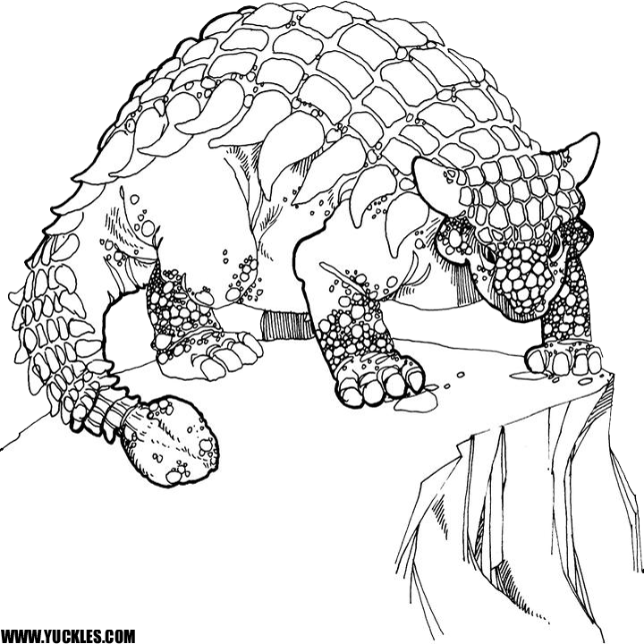 720x720 Ankylosaurus Coloring Page