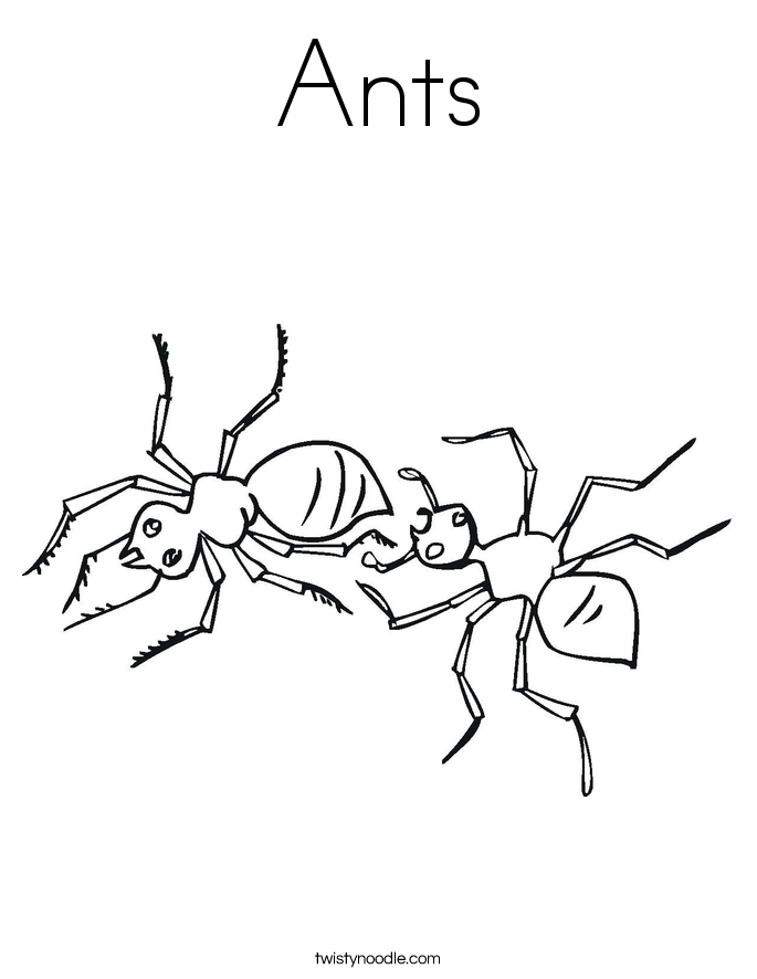685x886 Ants Coloring Page