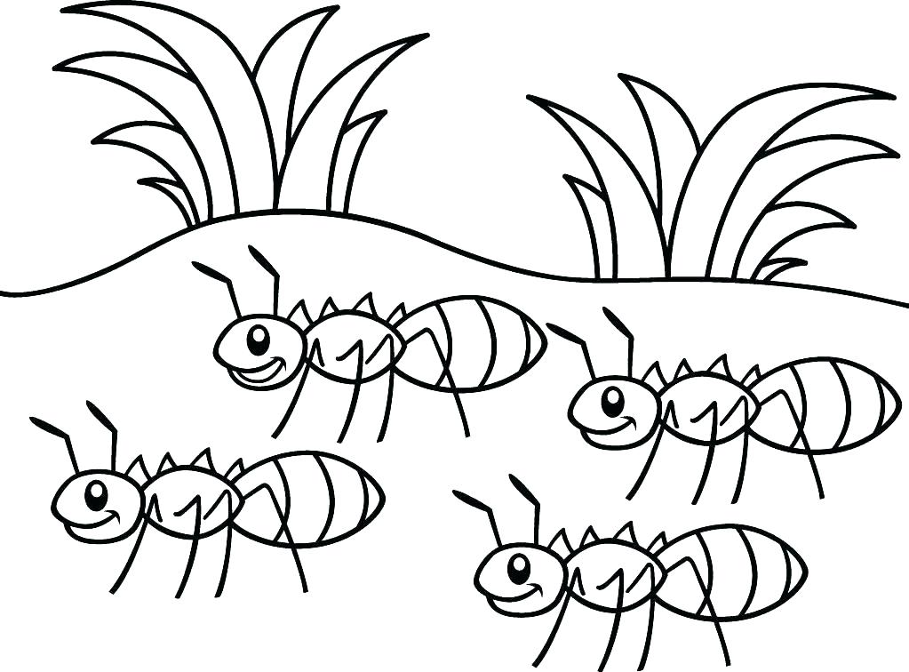 1023x756 Ants Coloring Page Ant Coloring Pages Free Printable Coloring Ant