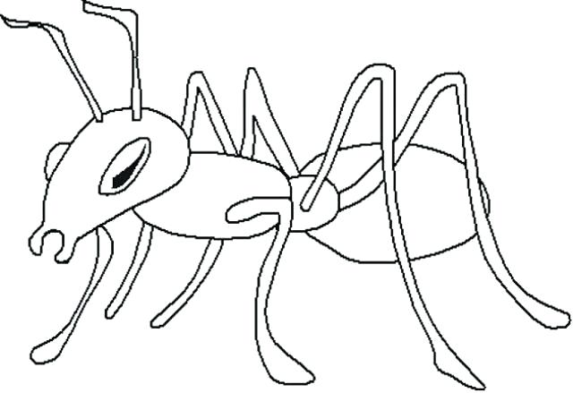640x439 Flashlight Coloring Pages Also Ant Coloring Page