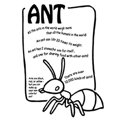 230x230 Top Free Printable Ants Coloring Pages Online