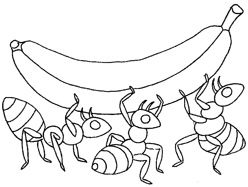 789x597 Ant Coloring Page Printable Ant Coloring Pages Coloring Me Ideas