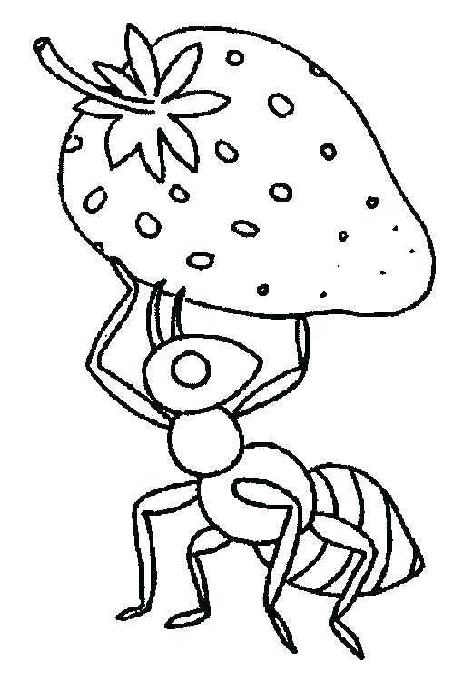 499x750 Ant Coloring Sheet Ants Coloring Pages Free Ant Man Coloring Pages