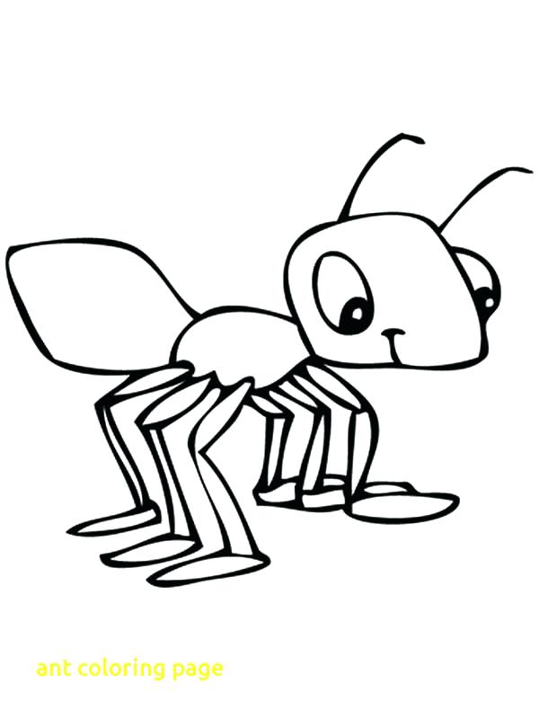 600x800 Army Ant Coloring Pages Page Book