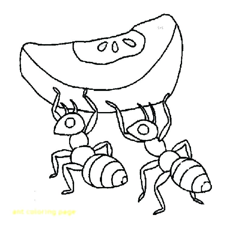 762x752 Coloring Pages Of Ants Ant Coloring Pages Ant Coloring Page