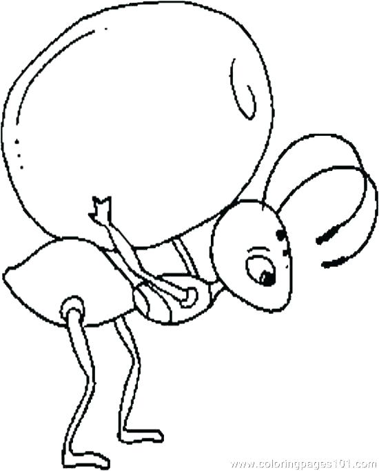 550x683 Coloring Pages Of Ants Anteater Coloring Page Ant Coloring Page