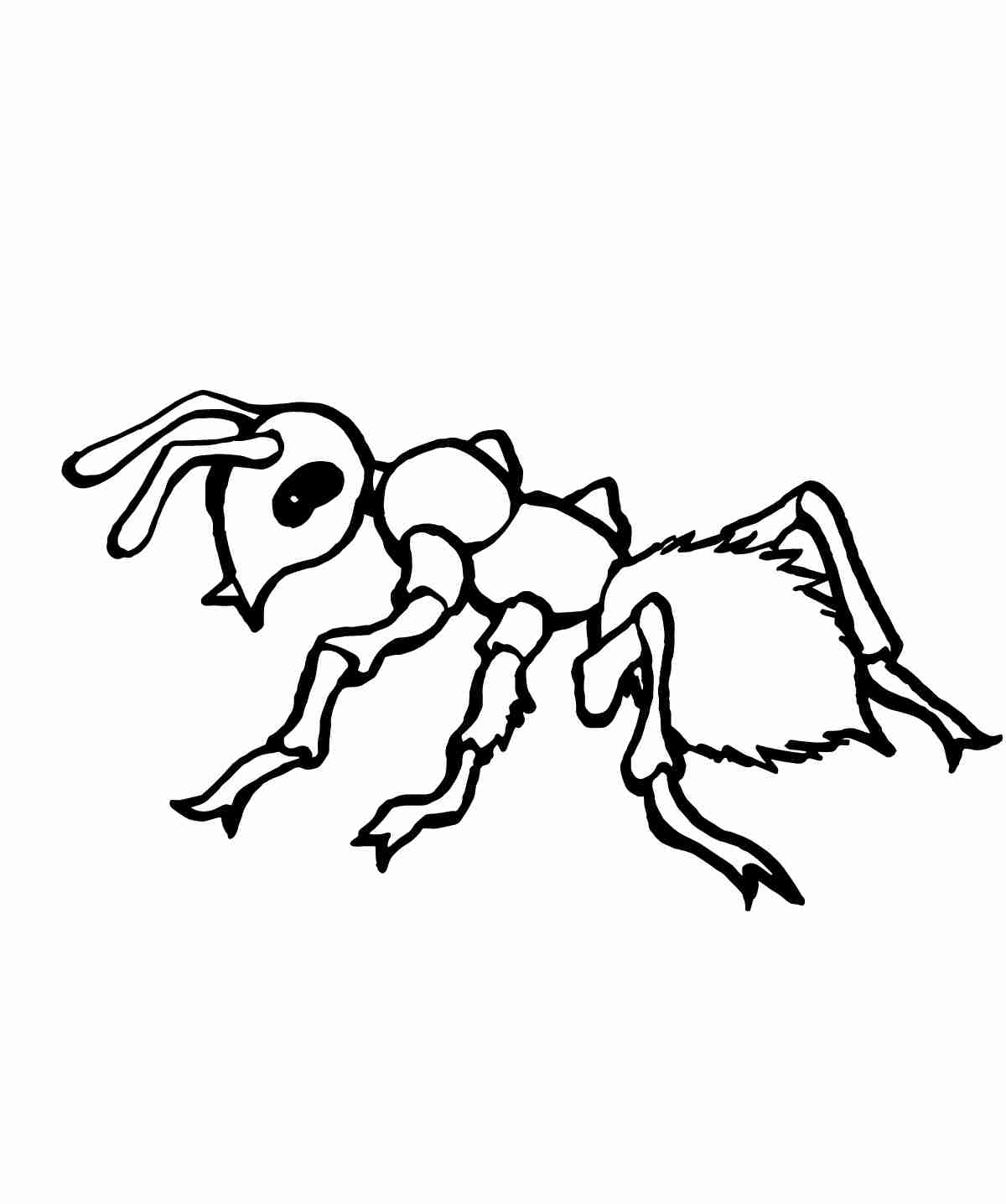 1200x1436 Free Printable Ant Coloring Page For Preschool Pages Animals Army