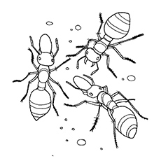 230x230 Marvelous Idea Ant Coloring Pages Ant