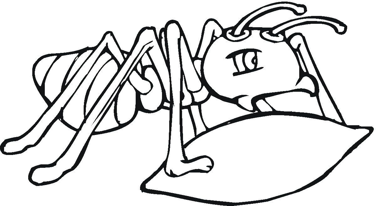 1200x658 Ant Coloring Page Luxury Free Printable Ant Coloring Pages