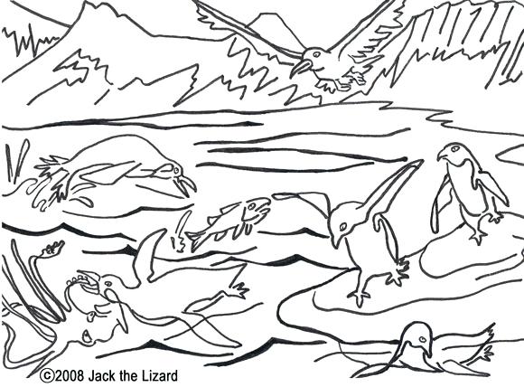 580x428 Antarctica Coloring Pages