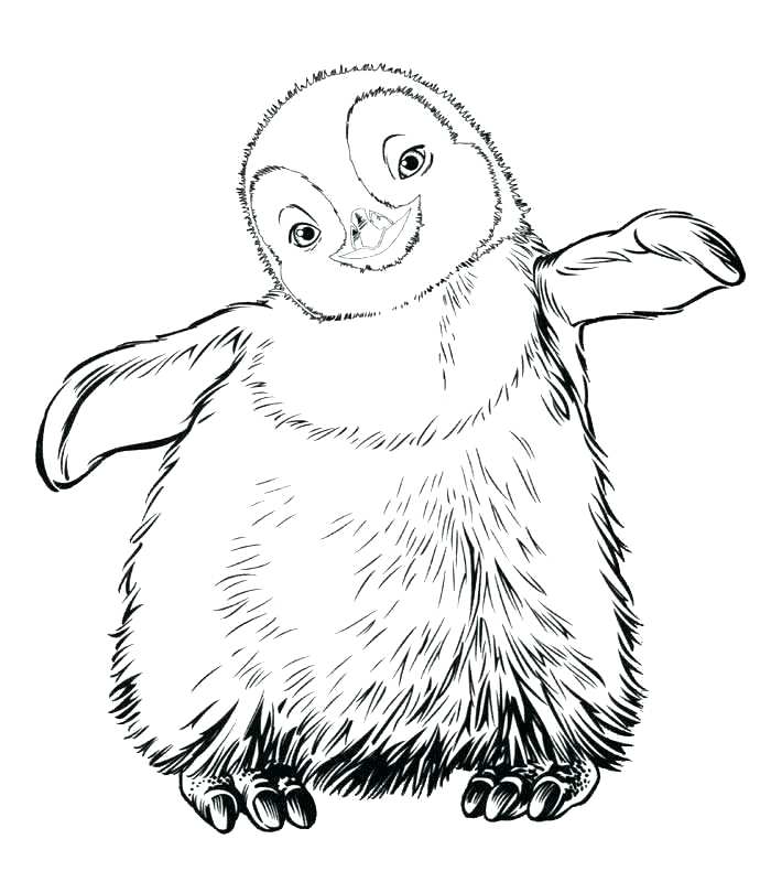 700x800 Coloring Antarctica Coloring Pages Happy Feet Free Printable