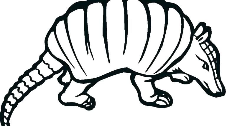 770x430 Anteater Coloring Page Ant Giant Anteater Coloring Pages