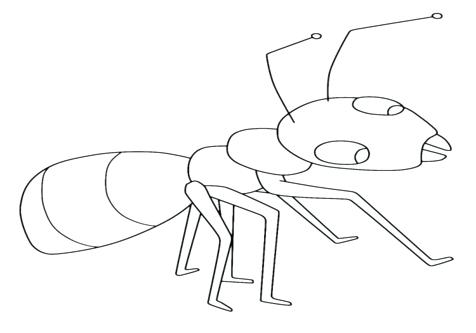 476x333 Ant Coloring Page Bug Coloring Pages Ant Page Anteater Coloring
