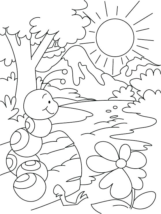 558x740 Ant Coloring Pages Ants Coloring Pages Hill Or Water Everywhere
