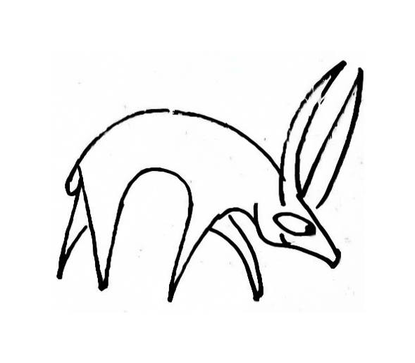 589x516 Cartoon Antelope Coloring Pages For Kids