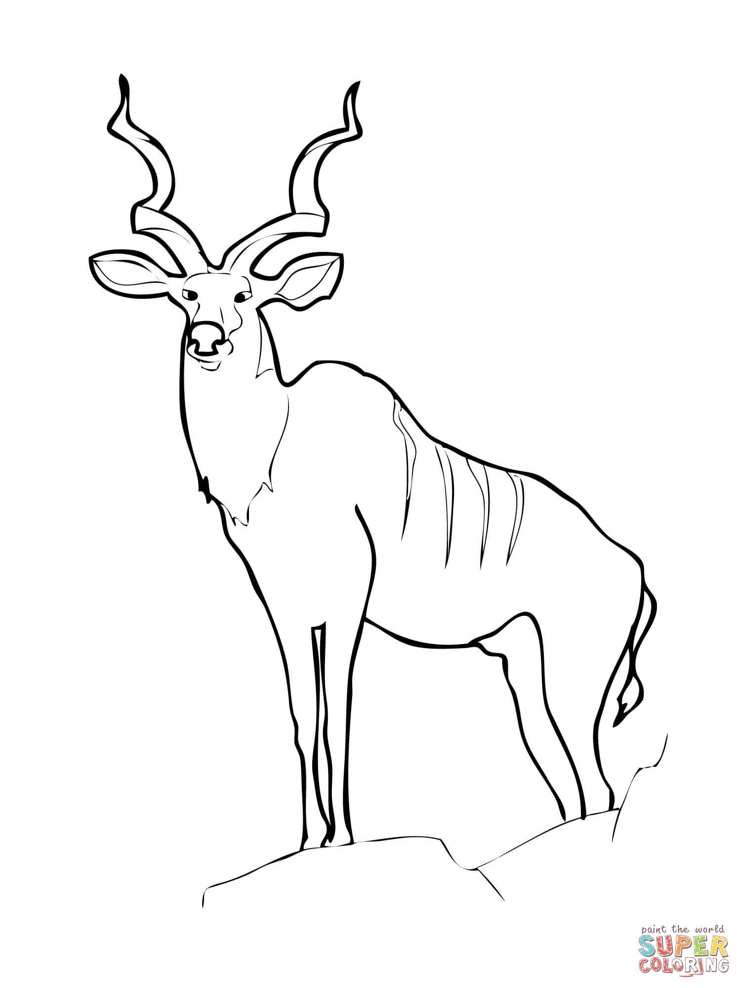 1500x2000 Kudu Antelope Coloring Page Free Printable Coloring Pages