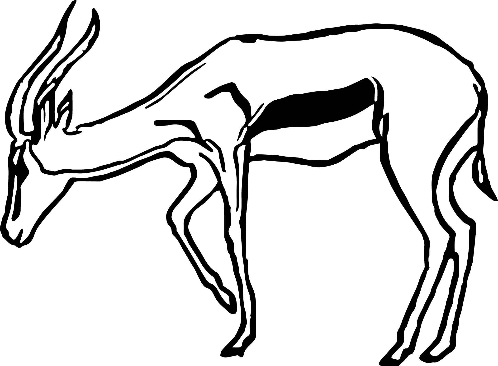 2097x1543 Antelope Animal Coloring Pages Elegant Antelope Drawing Coloring