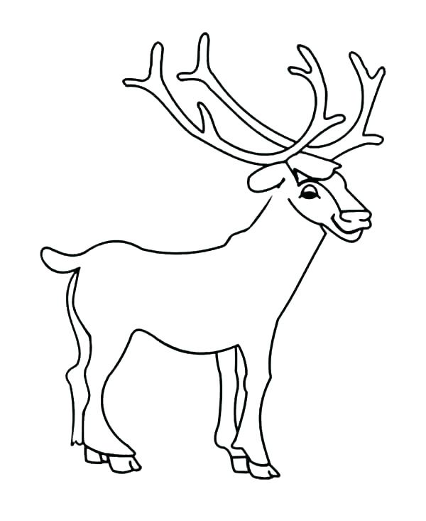 600x733 Elk Coloring Pages Coloring Pages Deer Coloring Pages Deer Elk