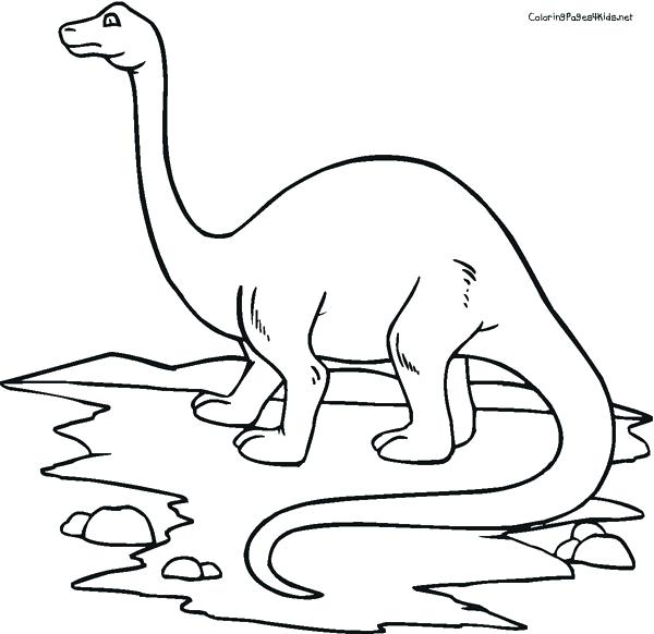 600x582 Brontosaurus Coloring Sheets Dinosaurs Pictures And Facts Free