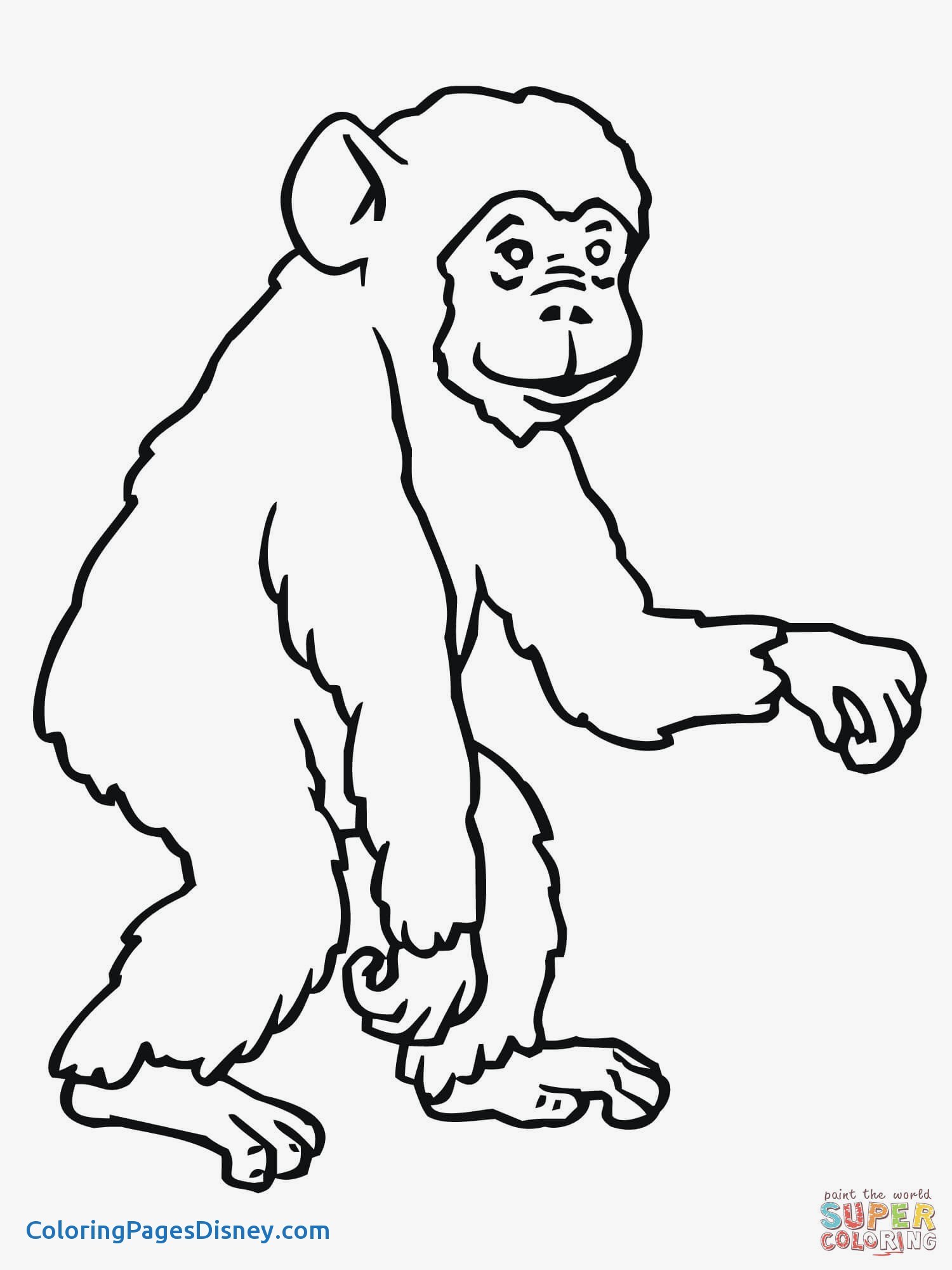 1500x2000 Ape Coloring Pages Fresh Apes Coloring Pages