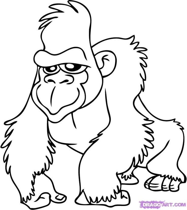 736x826 Jungle Safari Coloring Pages Download And Print For Free