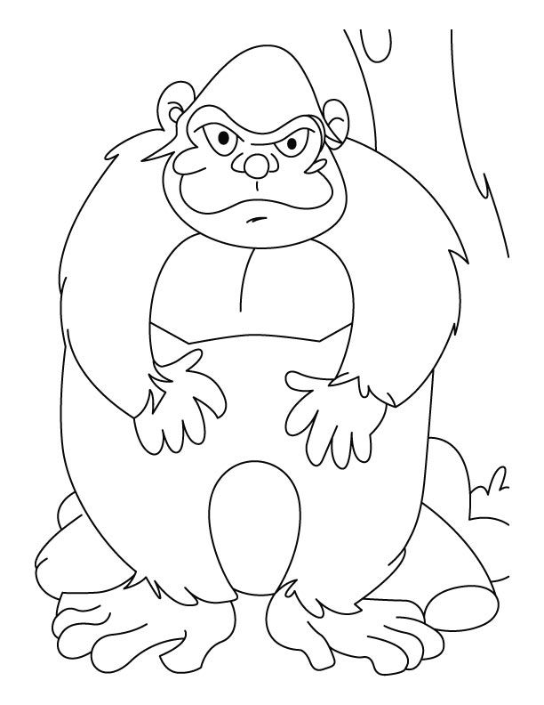 612x792 The Most Senior Ape Coloring Pages Download Free The Most Senior