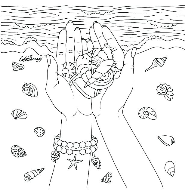 615x635 Seashells Coloring Page