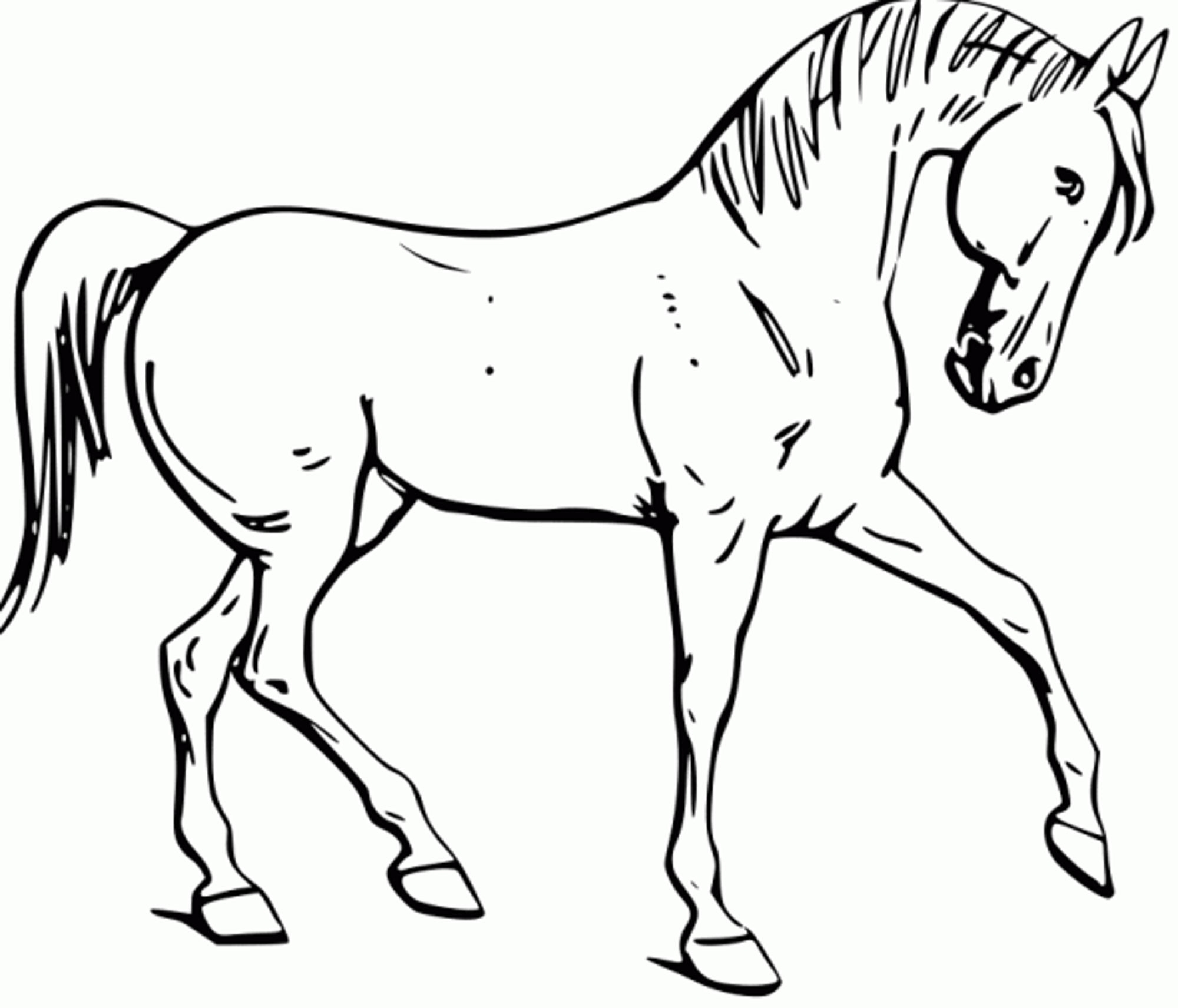 2000x1712 Fun Horse Coloring Pages For Your Kids Printable Printable