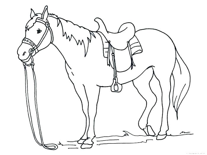 700x525 Horse Head Coloring Page Horse Head Coloring Page This Is Coloring
