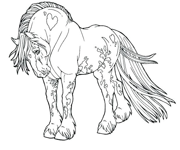 618x513 Free Horse Coloring Pages Murs