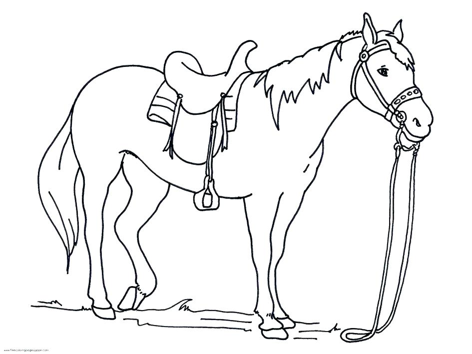 945x709 Mustang Horse Coloring Pages