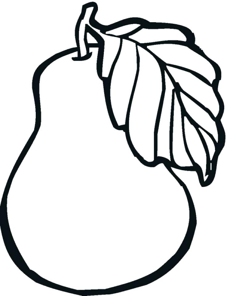737x960 Apple Coloring Pictures Fresh Apple Coloring Page Apple Tree Leaf