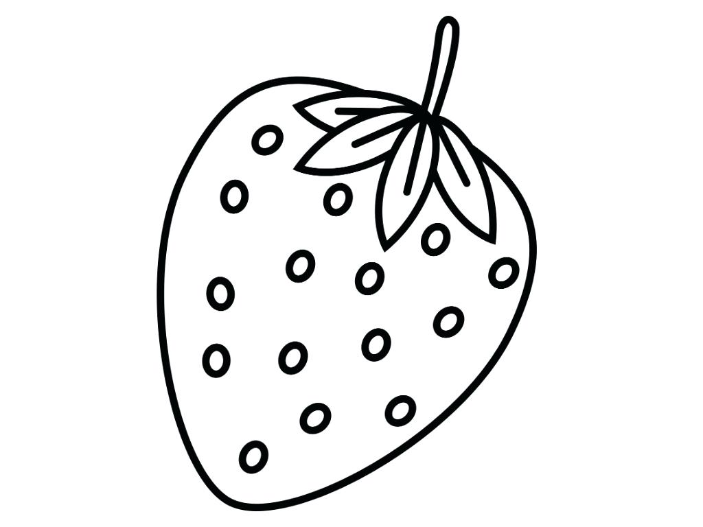 1024x768 Apple Outline Free Pictures Images Download Fresh Fruit Coloring