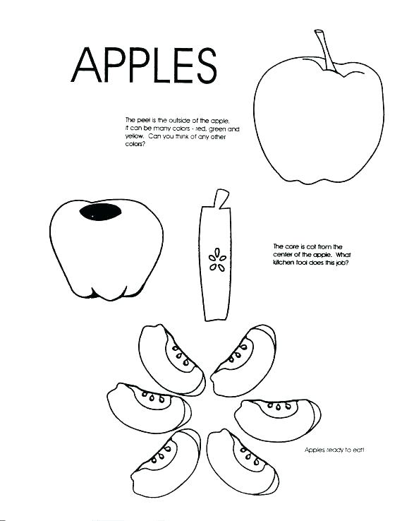 570x738 Apple Coloring Pages For Preschoolers Letter A For Apple Coloring