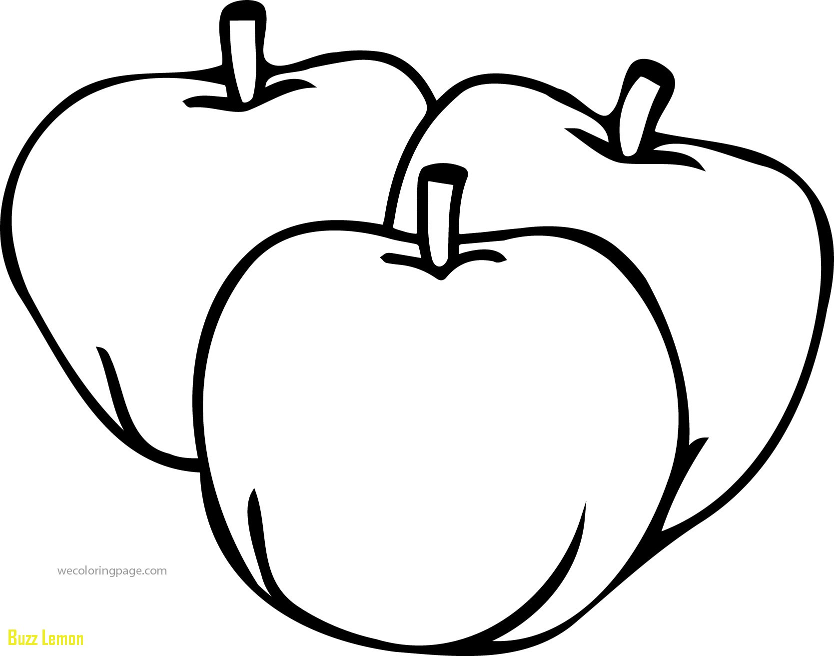 1669x1312 Beautiful Coloring Page Apple Buzz Coloring